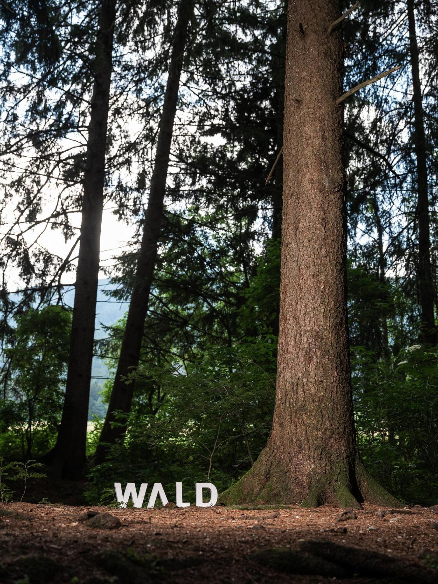 Frida Am Wald Hotel Rasun di Sotto Luaran gambar